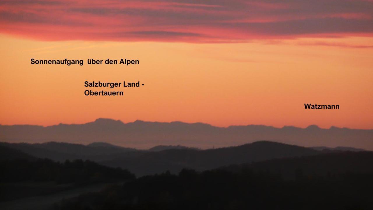 Alpenblick Mit Garten -panoramasauna- Apartment