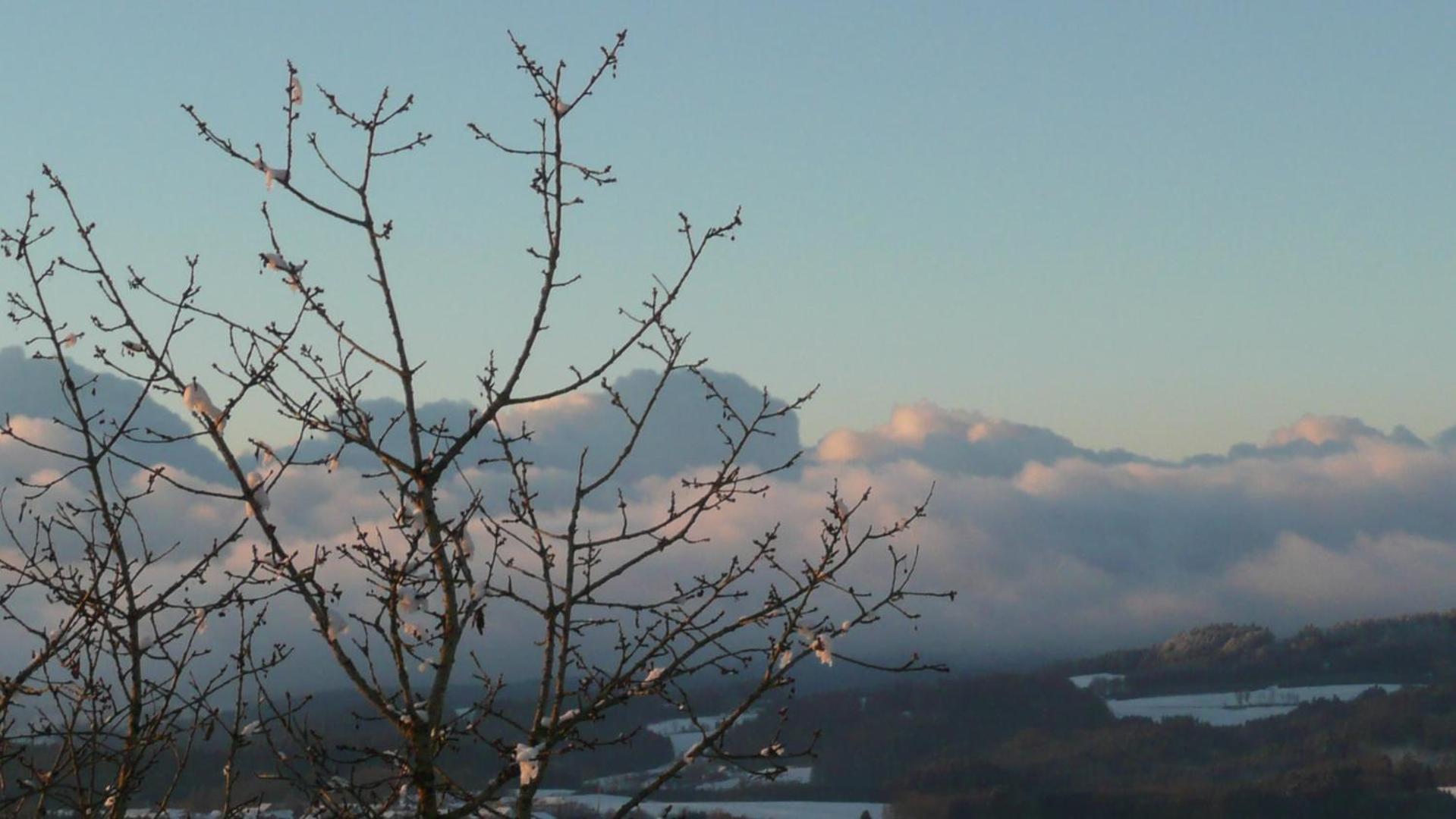 Alpenblick Mit Garten -panoramasauna- Apartment *