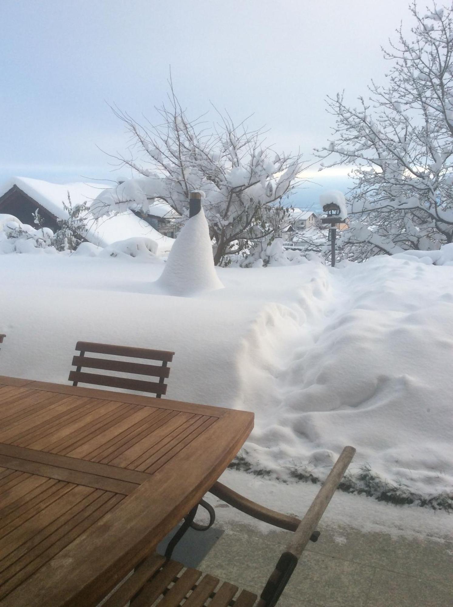 Apartment Alpenblick Mit Garten -panoramasauna- *