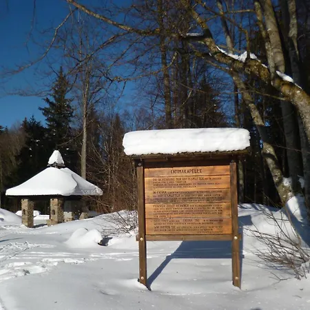 Alpenblickwohnung mit Garten-Terrasse -Eigener Eingang Kirchdorf im Wald Exterior foto
